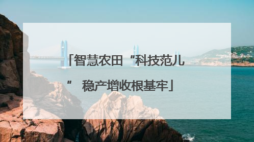 智慧农田“科技范儿” 稳产增收根基牢