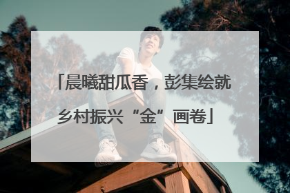 晨曦甜瓜香，彭集绘就乡村振兴“金”画卷