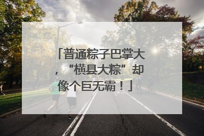 普通粽子巴掌大，“横县大粽”却像个巨无霸！