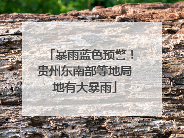 暴雨蓝色预警！贵州东南部等地局地有大暴雨