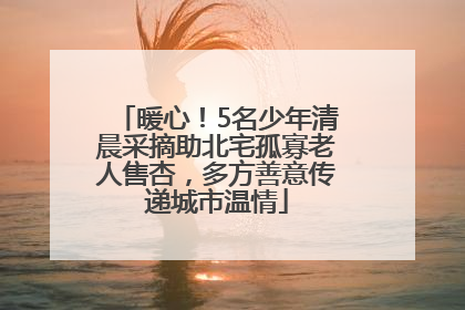 暖心！5名少年清晨采摘助北宅孤寡老人售杏，多方善意传递城市温情