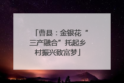 曹县：金银花“三产融合”托起乡村振兴致富梦