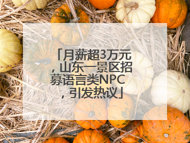 月薪超3万元，山东一景区招募语言类NPC，引发热议