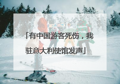 有中国游客死伤，我驻意大利使馆发声