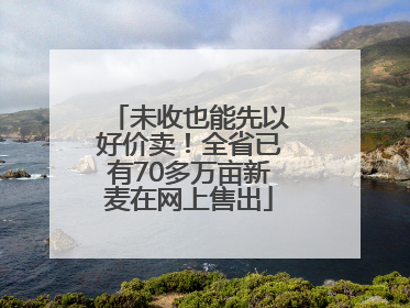 未收也能先以好价卖！全省已有70多万亩新麦在网上售出