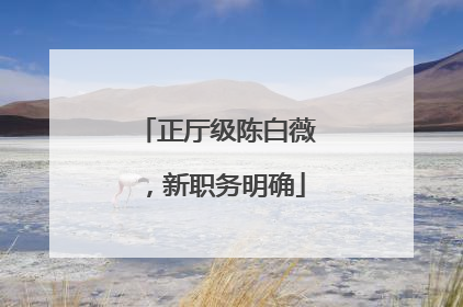 正厅级陈白薇，新职务明确