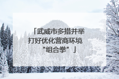 武威市多措并举打好优化营商环境“组合拳”