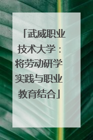 武威职业技术大学：将劳动研学实践与职业教育结合