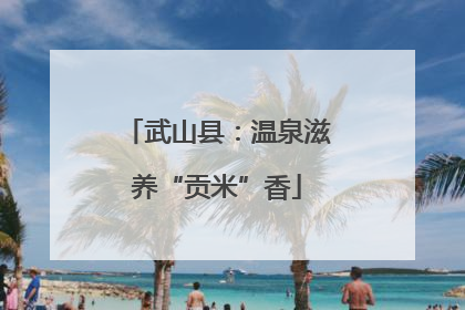 武山县：温泉滋养“贡米”香