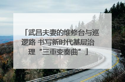 武昌夫妻的维修台与巡逻路 书写新时代基层治理“三重变奏曲”