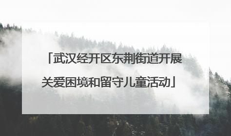 武汉经开区东荆街道开展关爱困境和留守儿童活动