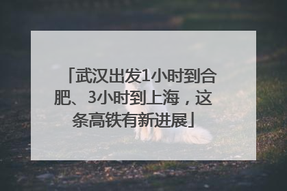 武汉出发1小时到合肥、3小时到上海，这条高铁有新进展