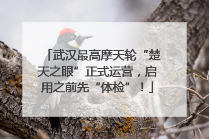 武汉最高摩天轮“楚天之眼”正式运营，启用之前先“体检”！