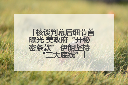 核谈判幕后细节首曝光 美政府“开秘密条款” 伊朗坚持“三大底线”