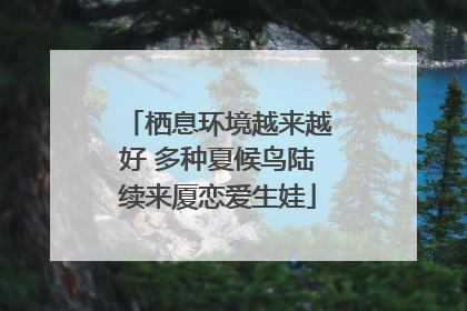 栖息环境越来越好 多种夏候鸟陆续来厦恋爱生娃