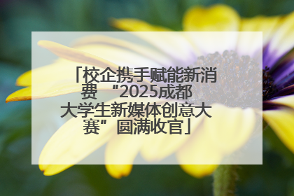 校企携手赋能新消费 “2025成都大学生新媒体创意大赛”圆满收官