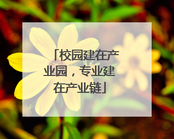 校园建在产业园，专业建在产业链