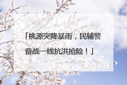 桃源突降暴雨，民辅警奋战一线抗洪抢险！