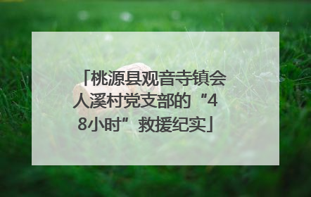 桃源县观音寺镇会人溪村党支部的“48小时”救援纪实