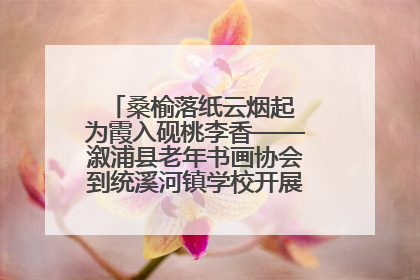 桑榆落纸云烟起 为霞入砚桃李香——溆浦县老年书画协会到统溪河镇学校开展书画进校园活动