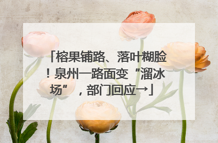 榕果铺路、落叶糊脸！泉州一路面变“溜冰场”，部门回应→