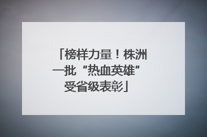 榜样力量！株洲一批“热血英雄”受省级表彰
