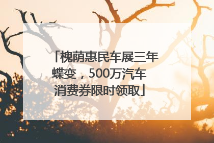 槐荫惠民车展三年蝶变，500万汽车消费券限时领取