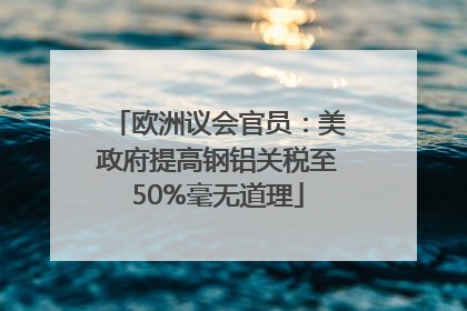 欧洲议会官员：美政府提高钢铝关税至50%毫无道理