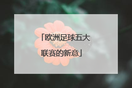 欧洲足球五大联赛的新意