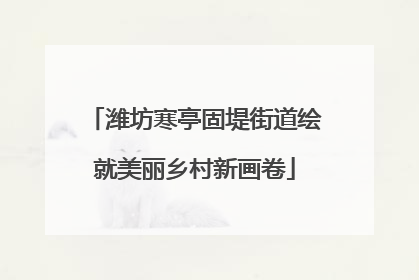 潍坊寒亭固堤街道绘就美丽乡村新画卷