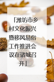 潍坊市乡村文化振兴暨移风易俗工作推进会议在诸城召开