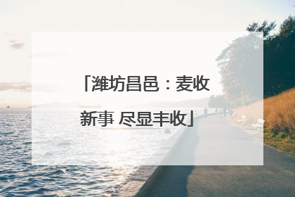 潍坊昌邑：麦收新事 尽显丰收
