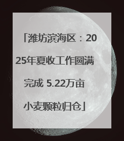 潍坊滨海区：2025年夏收工作圆满完成 5.22万亩小麦颗粒归仓