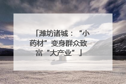 潍坊诸城：“小药材”变身群众致富“大产业”
