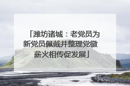 潍坊诸城：老党员为新党员佩戴并整理党徽 薪火相传促发展