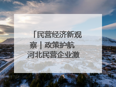 民营经济新观察｜政策护航 河北民营企业激发新“冀”遇