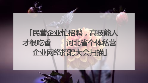 民营企业忙招聘，高技能人才很吃香——河北省个体私营企业网络招聘大会扫描