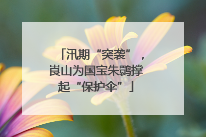 汛期“突袭”，崀山为国宝朱鹮撑起“保护伞”