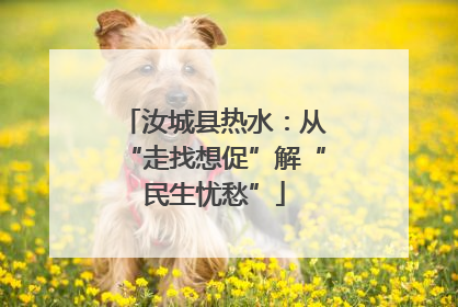 汝城县热水：从“走找想促”解“民生忧愁”