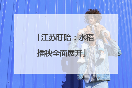 江苏盱眙：水稻插秧全面展开