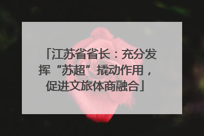 江苏省省长：充分发挥“苏超”撬动作用，促进文旅体商融合