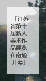 江苏省第十届新人美术作品展览在南通开幕