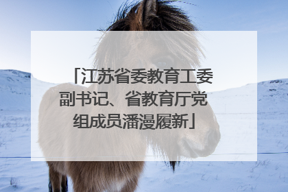 江苏省委教育工委副书记、省教育厅党组成员潘漫履新