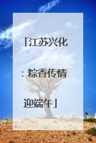 江苏兴化：粽香传情迎端午