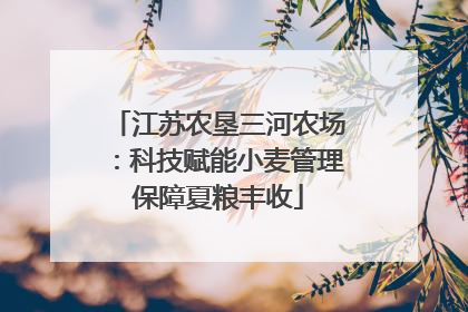 江苏农垦三河农场：科技赋能小麦管理保障夏粮丰收