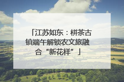 江苏如东：栟茶古镇端午解锁农文旅融合“新花样”
