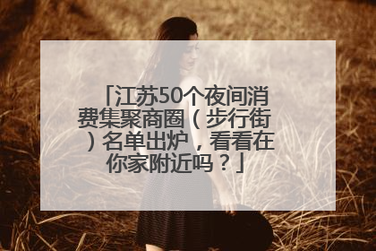 江苏50个夜间消费集聚商圈（步行街）名单出炉，看看在你家附近吗？