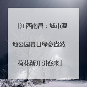江西南昌：城市湿地公园夏日绿意盎然 荷花渐开引客来