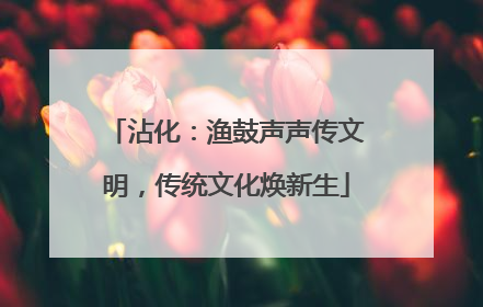 沾化：渔鼓声声传文明，传统文化焕新生