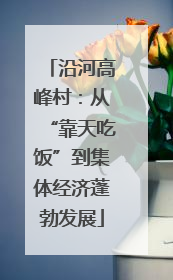 沿河高峰村：从“靠天吃饭”到集体经济蓬勃发展